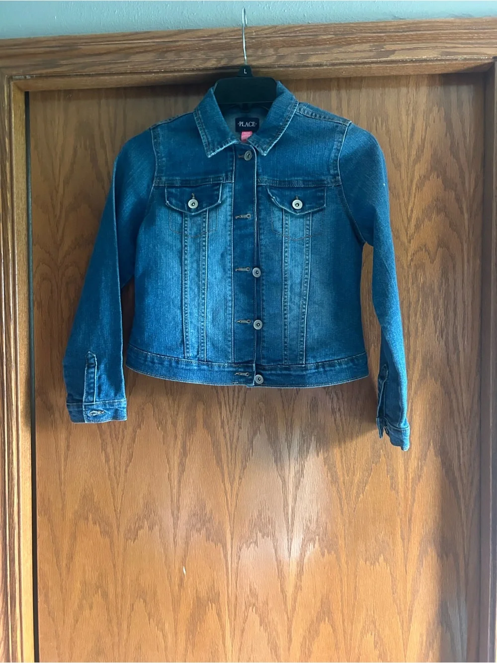 The Children's Place Blue Denim Jacket - Girls